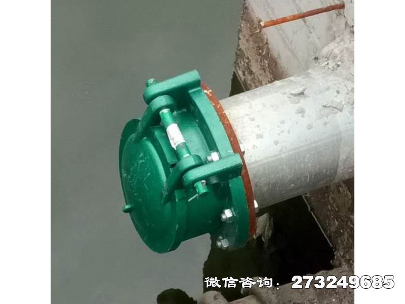 吉首污水管道玻璃鋼拍門