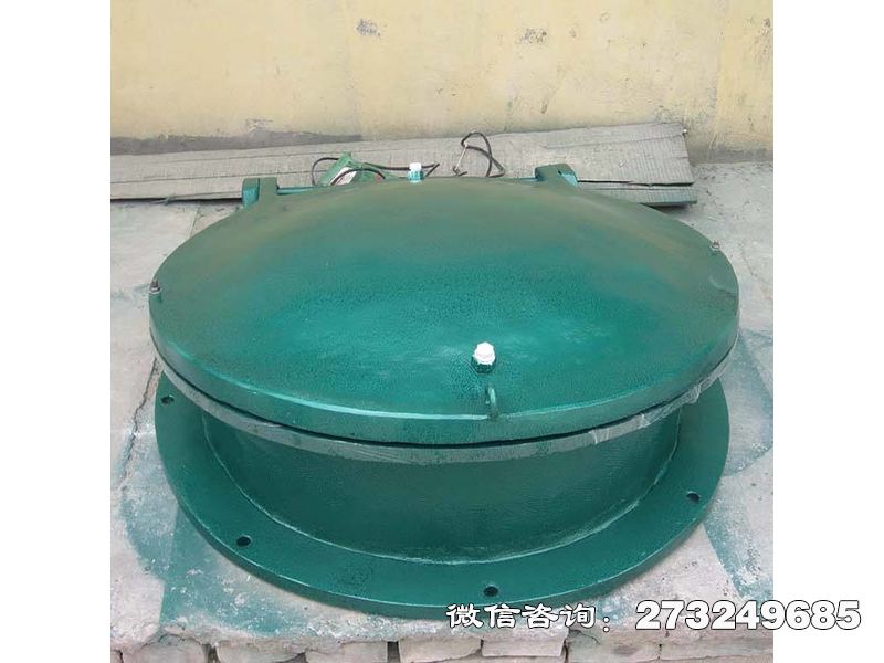 玻璃鋼止水拍門