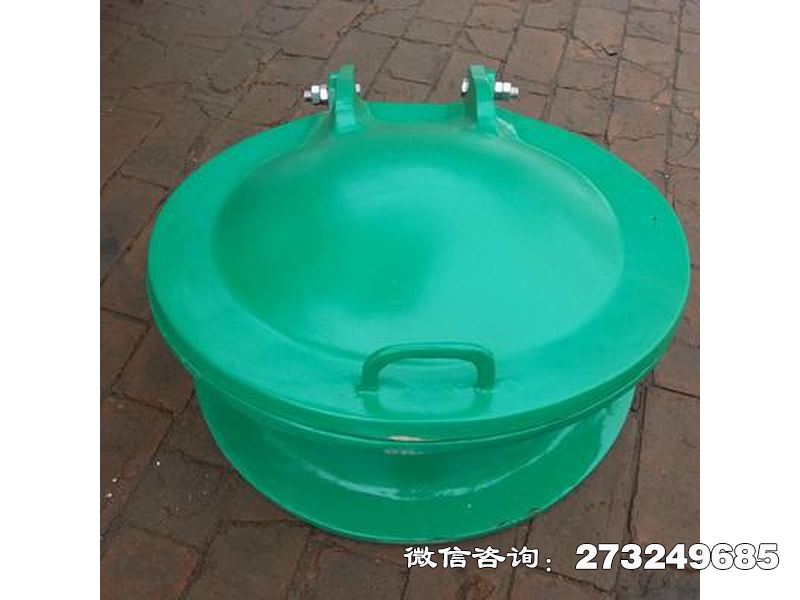 玻璃鋼污水拍門