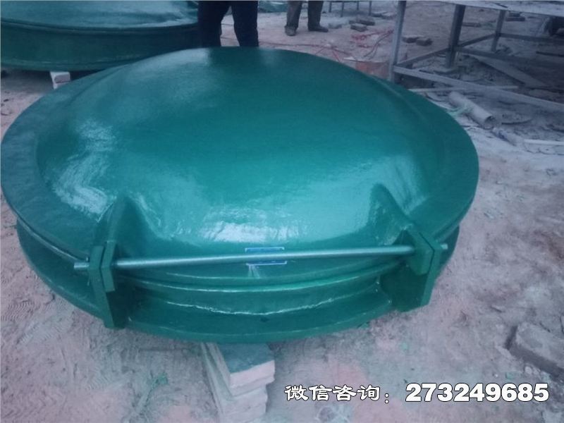 耐腐蝕管道拍門
