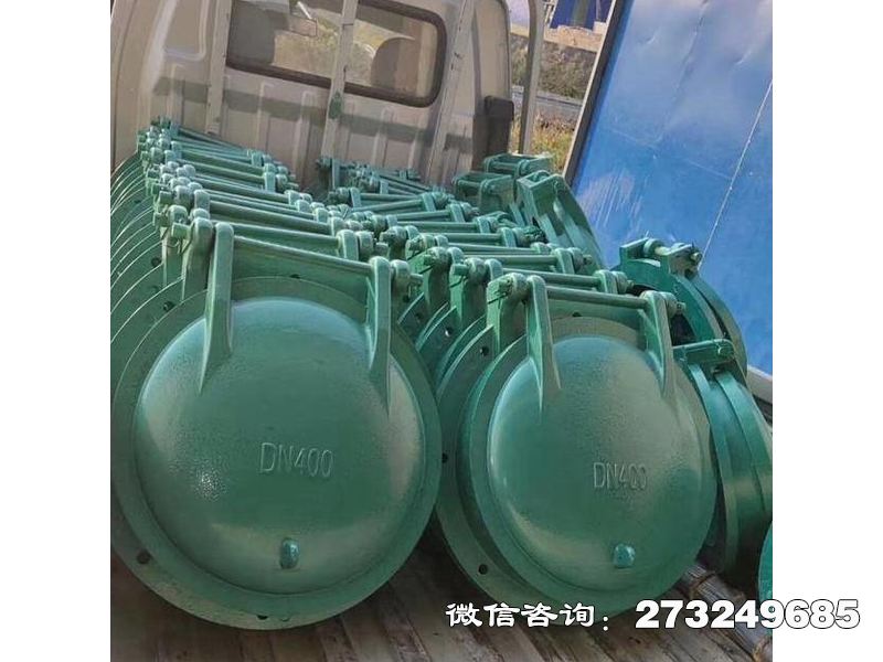排污口玻璃鋼拍門
