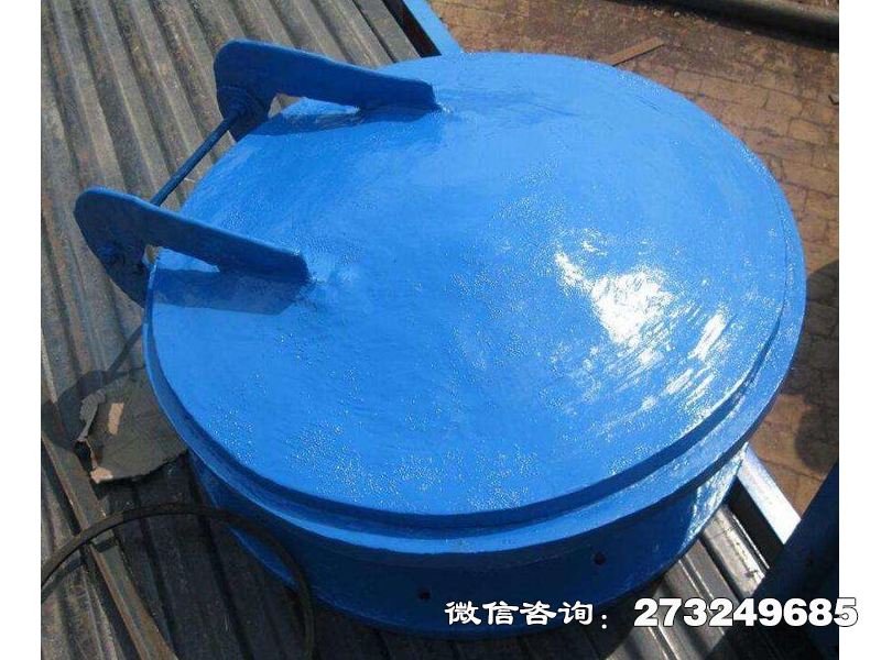 復(fù)合材料防倒灌拍門(mén)