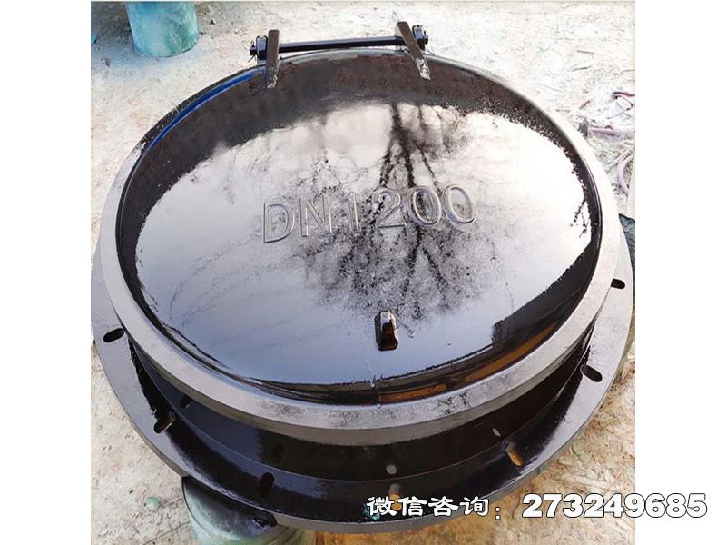 防倒灌玻璃鋼拍門(mén)