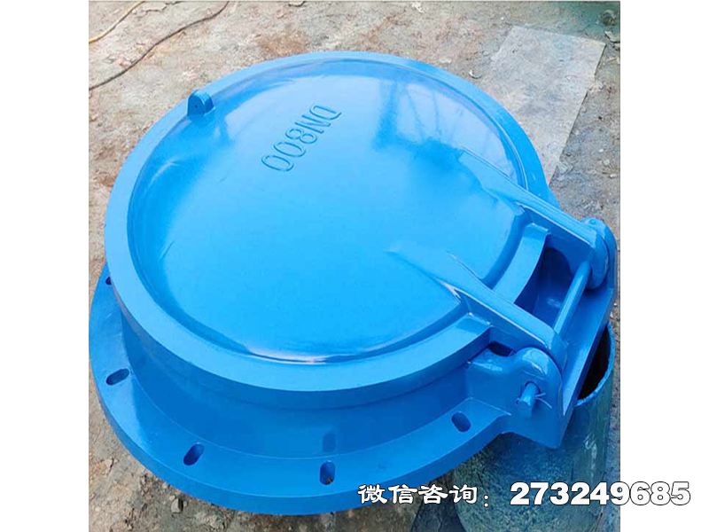 單向水流控制拍門