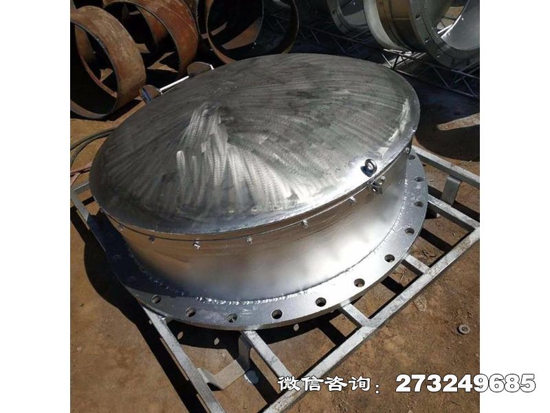 不銹鋼拍門(mén)