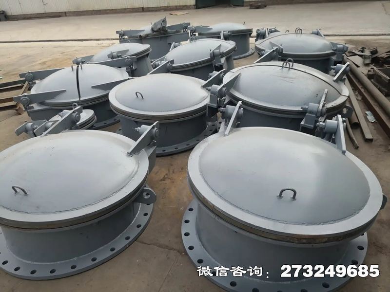 耐高壓不銹鋼拍門(mén)