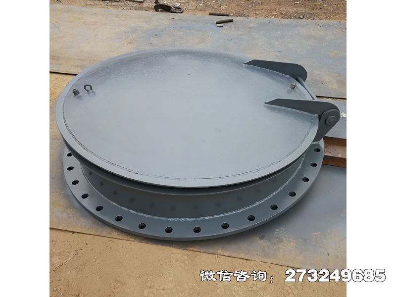 泵站防逆流不銹鋼拍門
