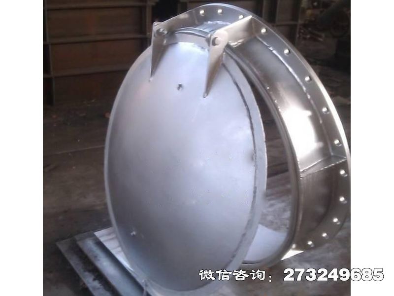 316L不銹鋼拍門(mén)