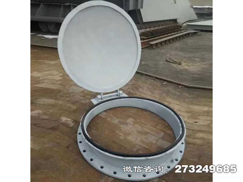 金屬不銹鋼拍門(mén)
