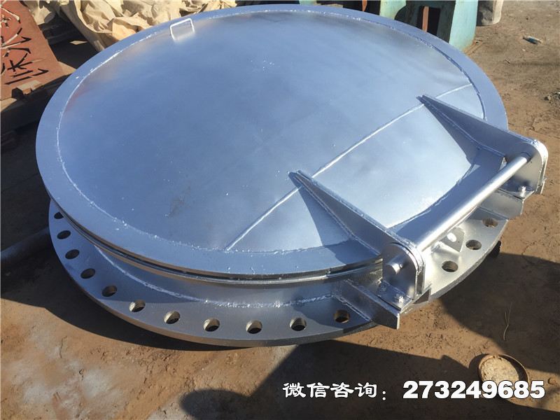 不銹鋼止回拍門(mén)