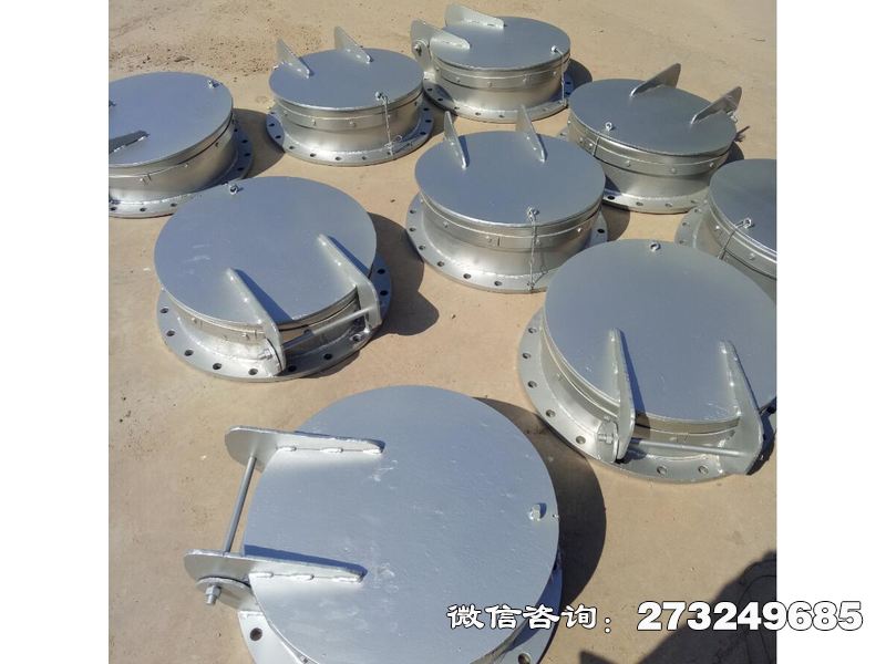 防倒灌不銹鋼拍門(mén)