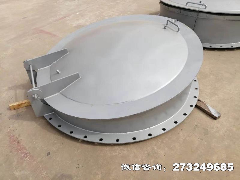 不銹鋼逆止拍門(mén)