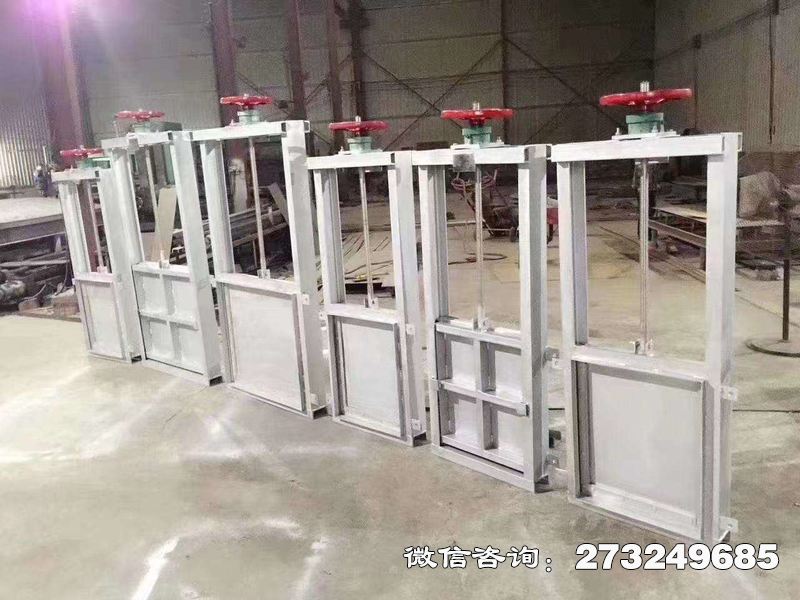機(jī)閘一體不銹鋼水閘