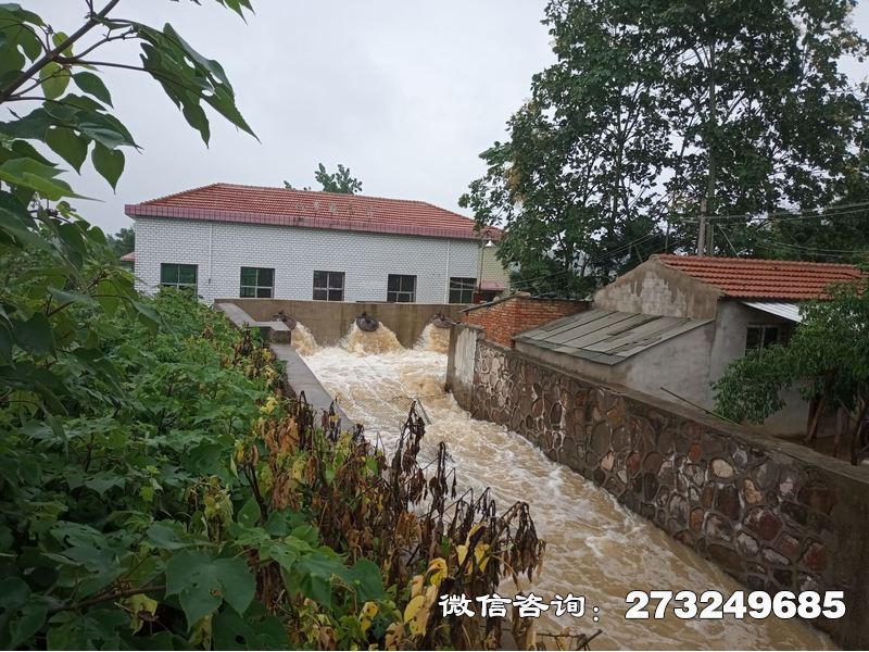 泵站應(yīng)急涵閘