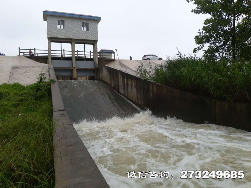 堤防排水泵站閘門