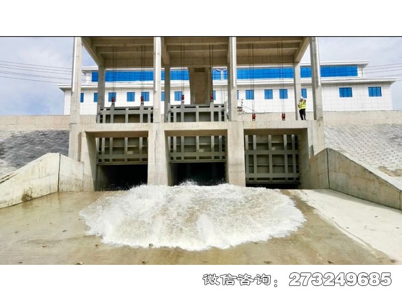 應(yīng)急排澇泵站閘門