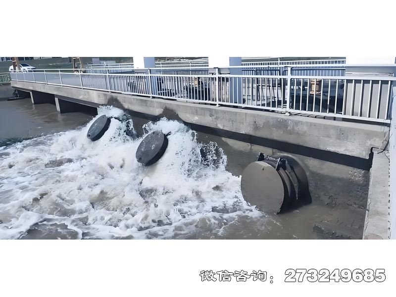 內(nèi)河潮門拍門
