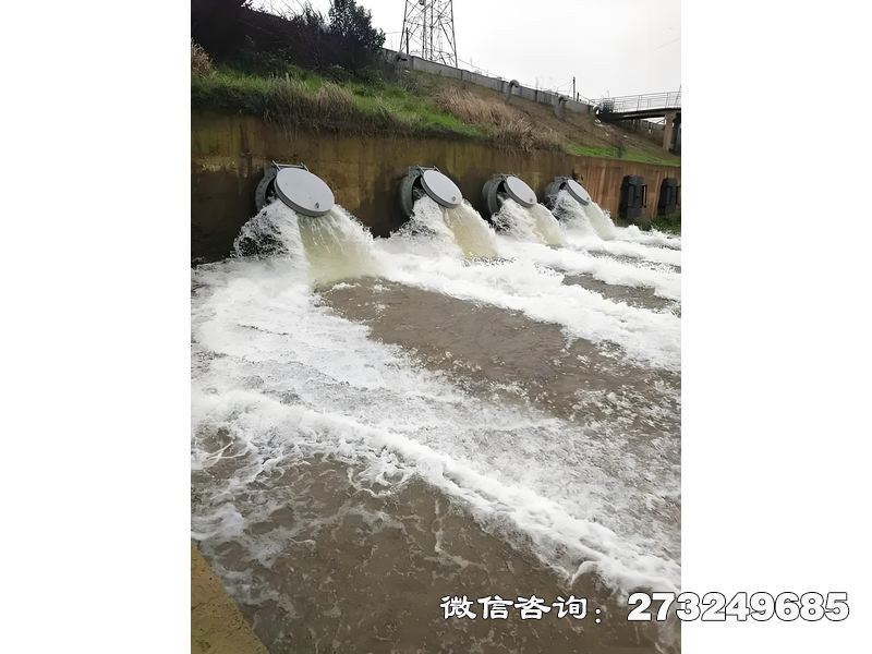排水管網(wǎng)末端潮門拍門