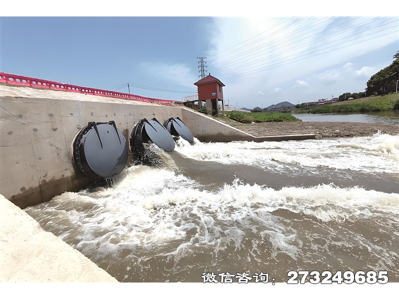蓄滯洪區(qū)潮門拍門