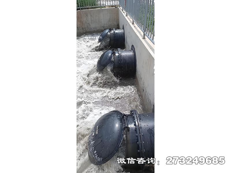 污水處理廠(chǎng)潮門(mén)拍門(mén)