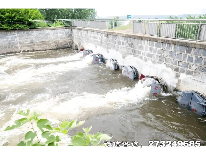 河道防洪堤排水潮門(mén)拍門(mén)