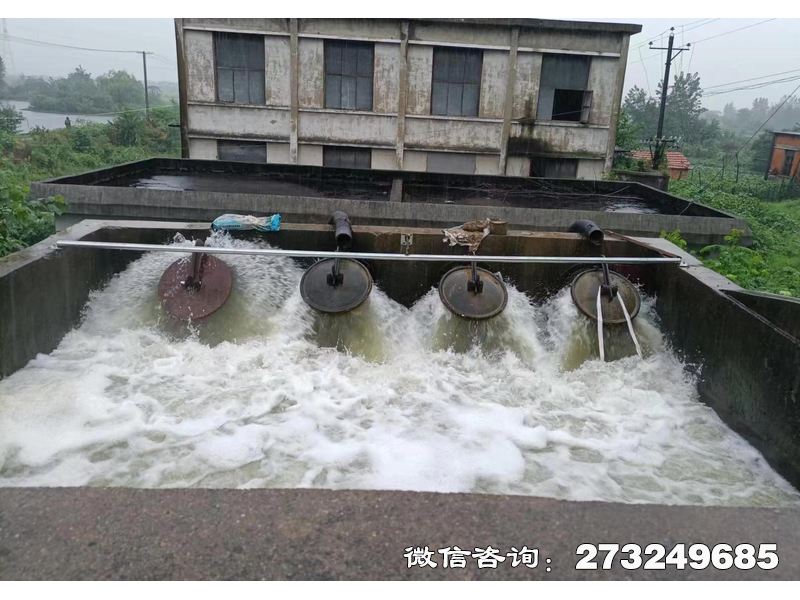 行洪區(qū)退水口潮門(mén)拍門(mén)