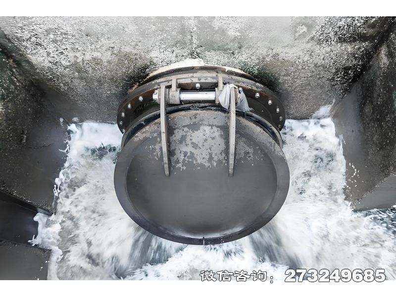 武進河道排水潮門拍門