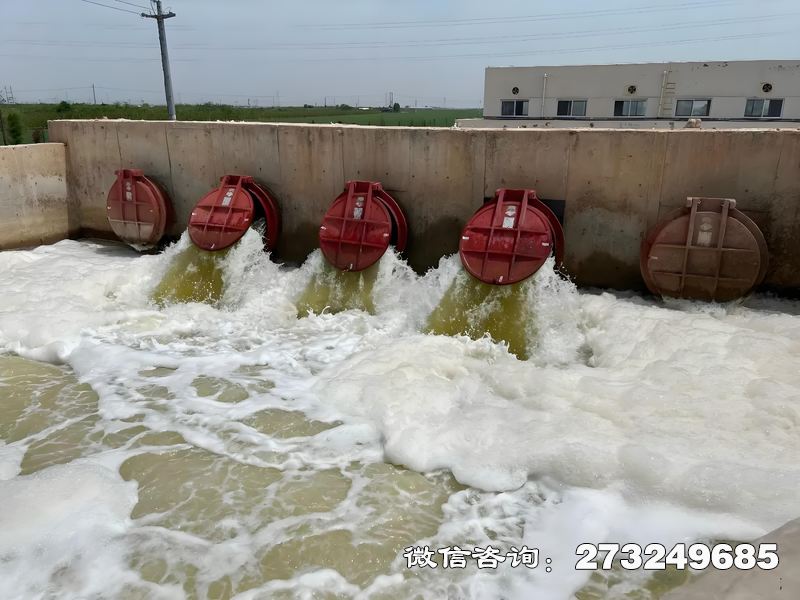 武進河口整治工程潮門拍門