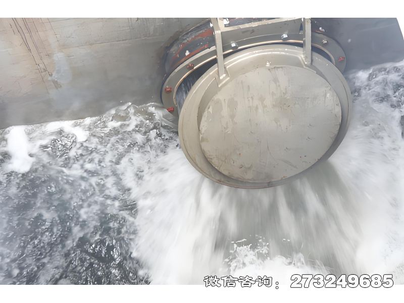 海堤排水拍門