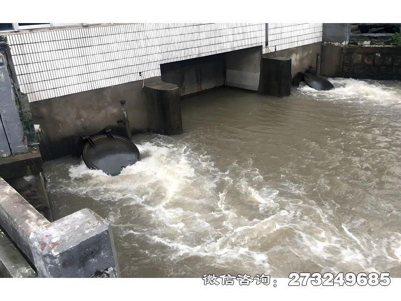 泵站潮門拍門