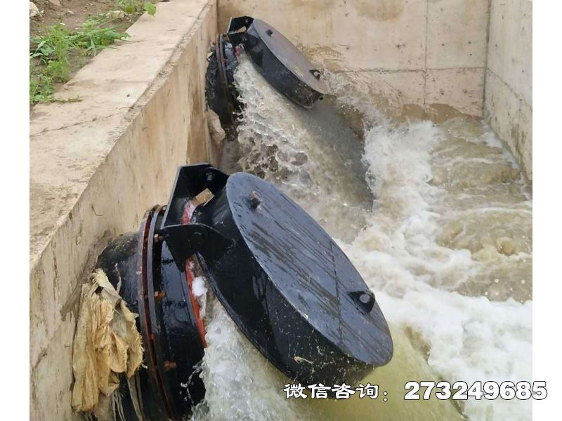海水防倒灌拍門