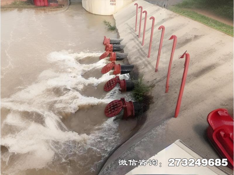 海水生態(tài)防潮拍門