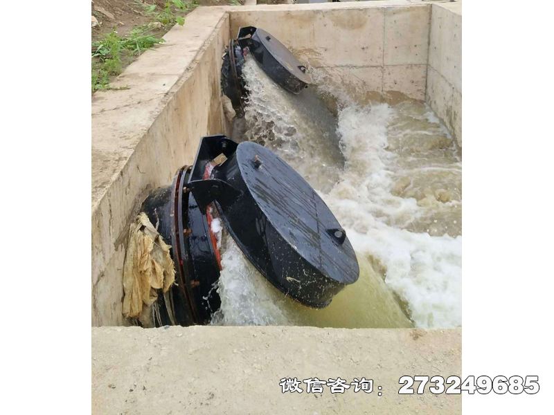 水庫潮門拍門