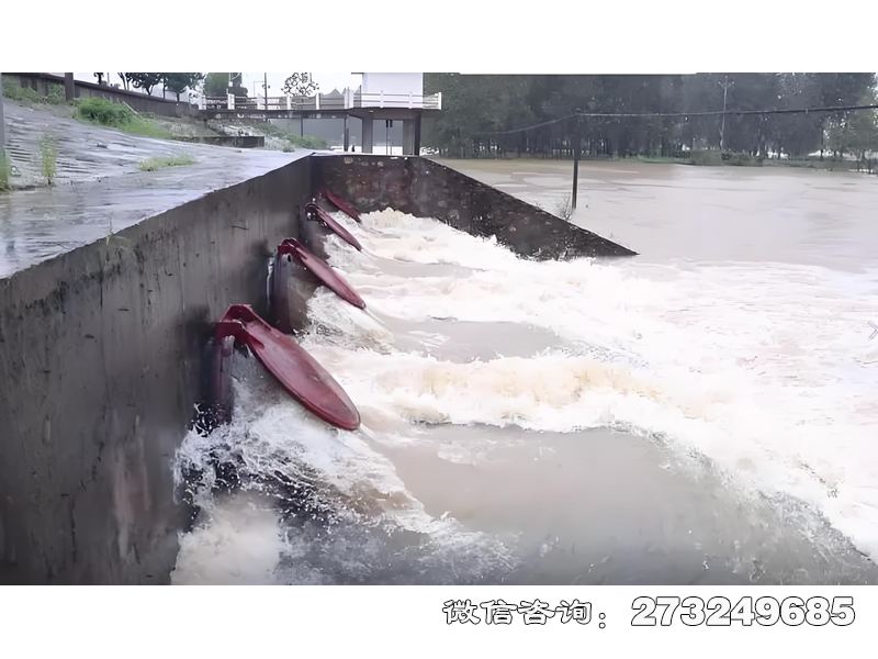 城市排水系統(tǒng)潮門拍門