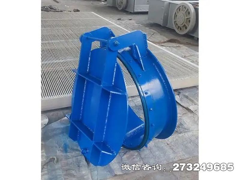 水庫鋼制防倒灌拍門
