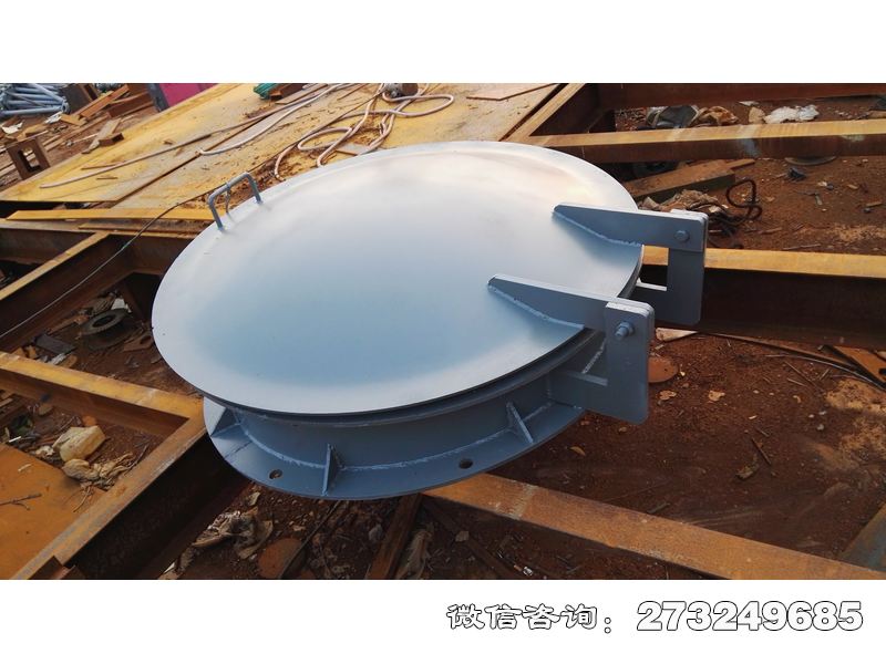 生態(tài)補水鋼制拍門