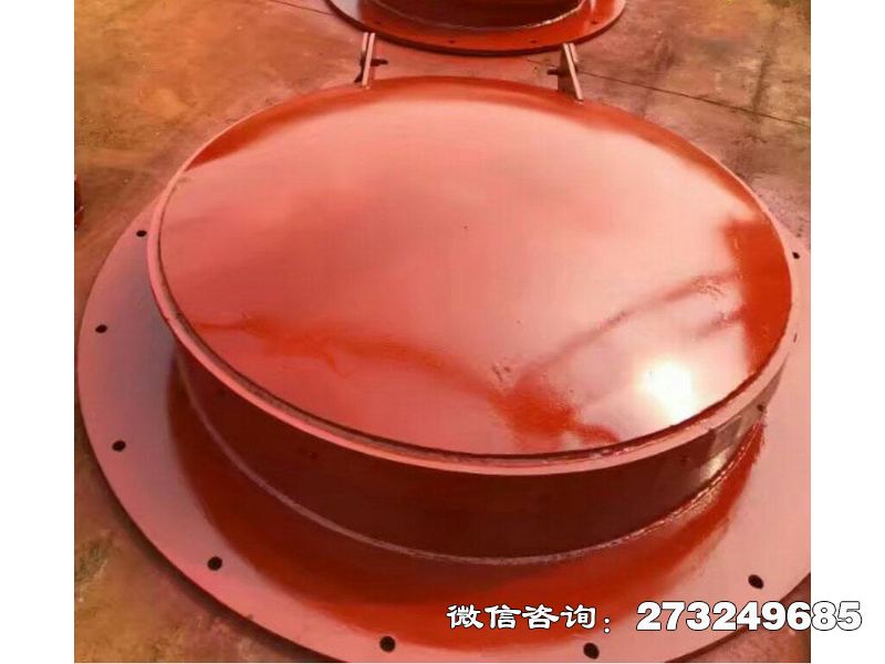 潮汐電站鋼制拍門