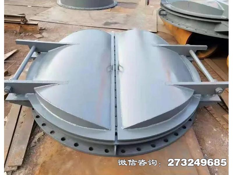 防潮鋼制海堤拍門