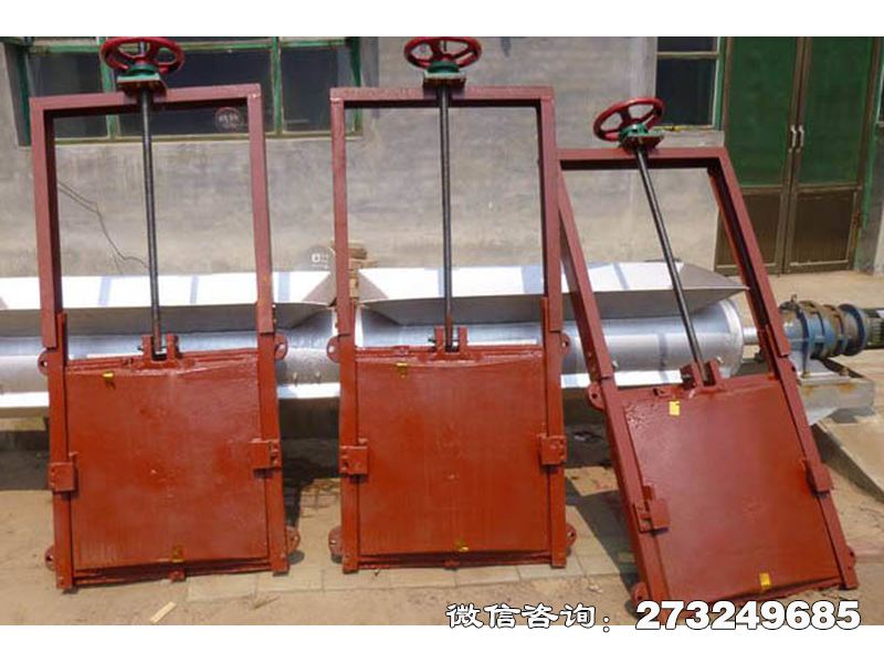 工程處檢修機(jī)閘一體閘門