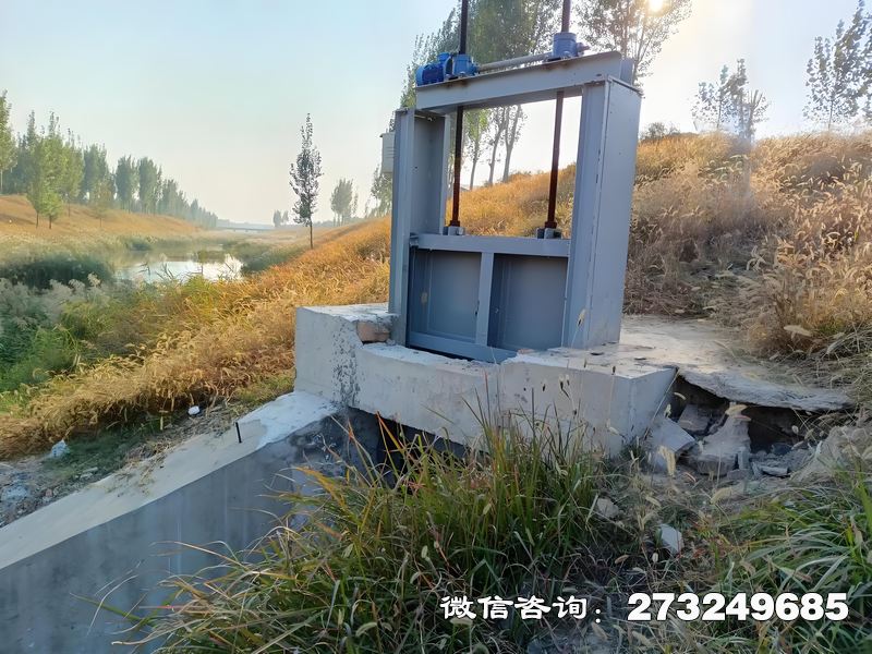 進(jìn)水渠道閘