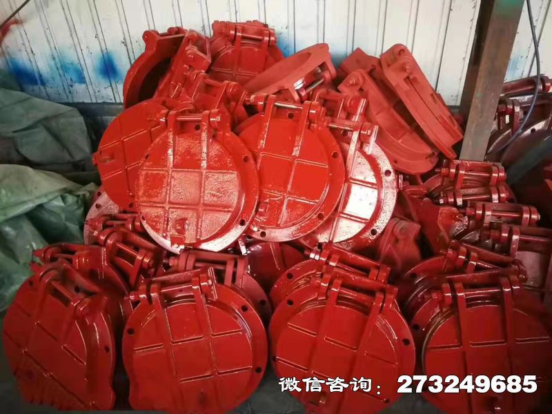 ?？悼h鑄鐵圓形泵站拍門
